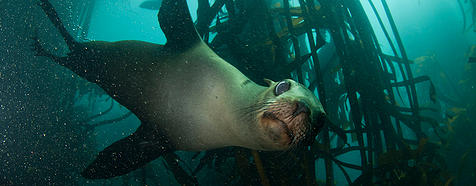 Photo by Steve Benjamin Photo by Steve Benjamin - Bellingham Safaris