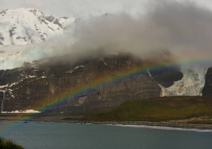 Antarctica - Luxury Safari - Bellingham Safaris