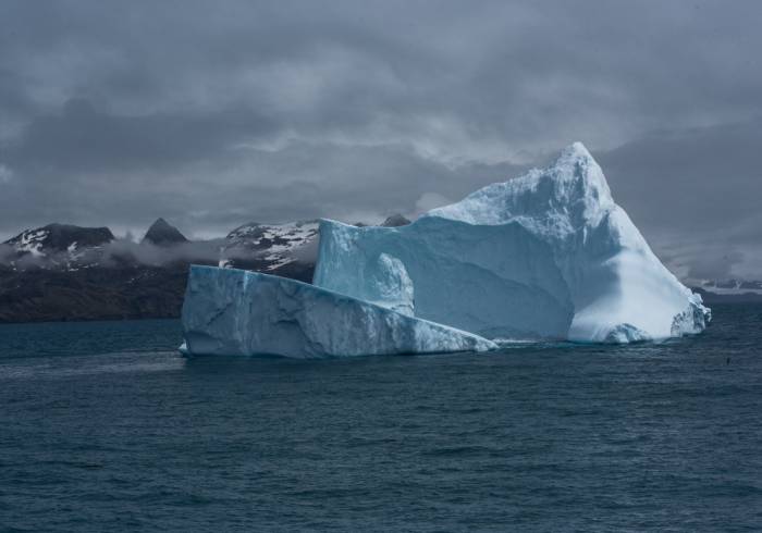 Antarctica - Luxury Safari - Bellingham Safaris