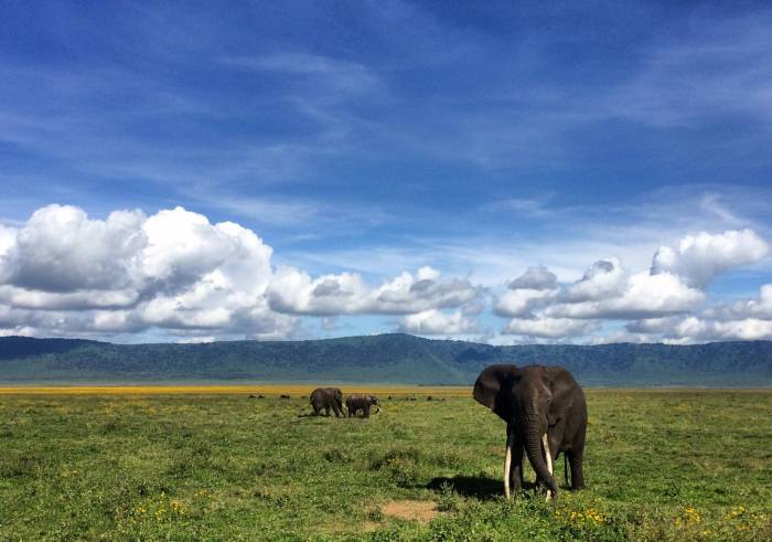 Kenya & Tanzania