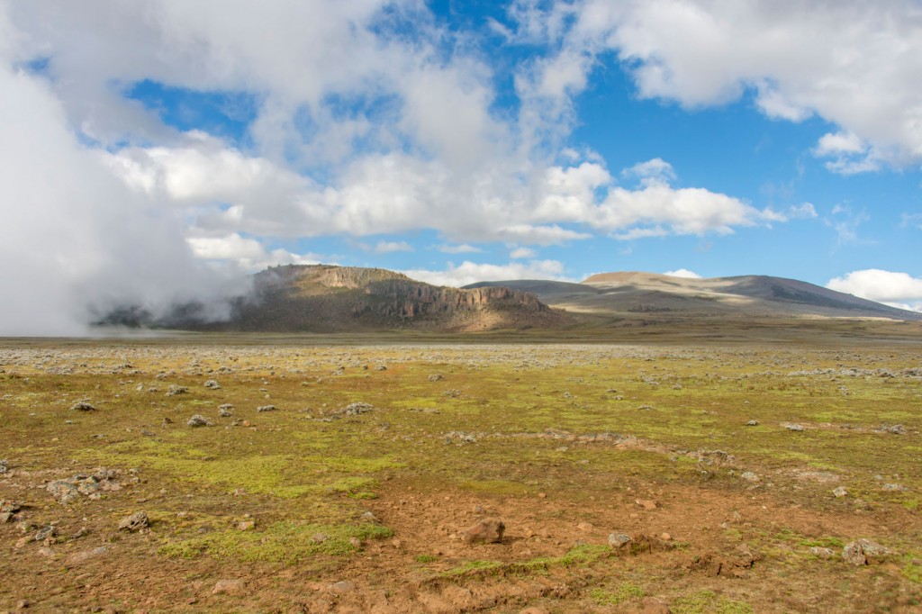 Sanetti-Plateau - Ethiopia Safari