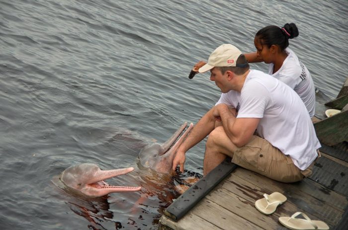 Brazil - Amazon - Luxury Safaris - Bellingham Safaris