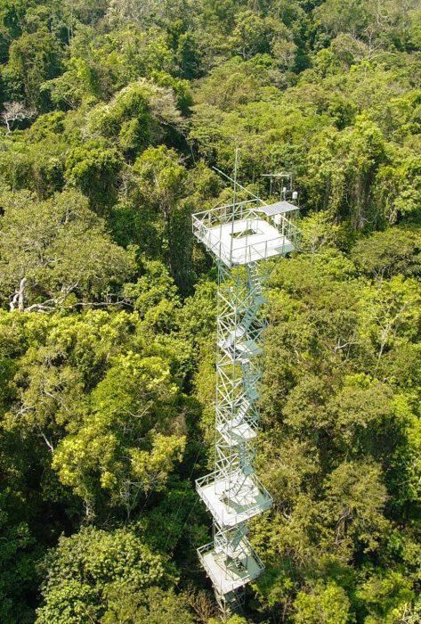 Brazil - Amazon - Luxury Safaris - Bellingham Safaris