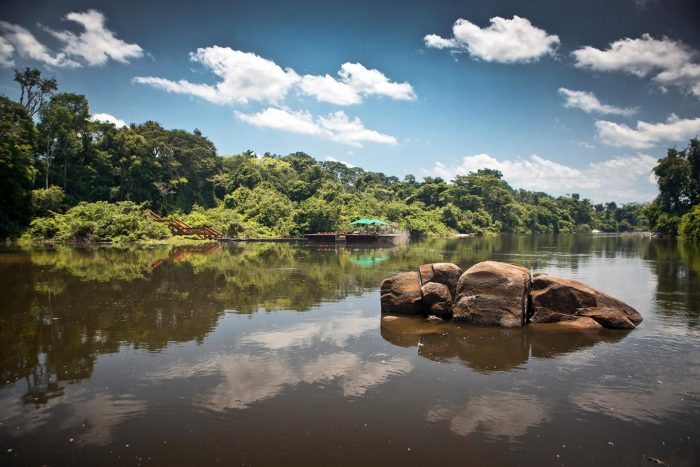 Brazil - Amazon - Luxury Safaris - Bellingham Safaris