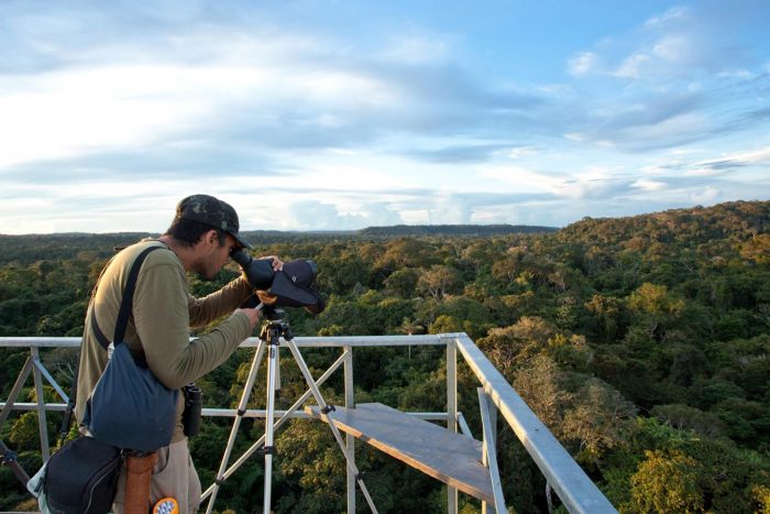 Brazil - Amazon - Luxury Safaris - Bellingham Safaris