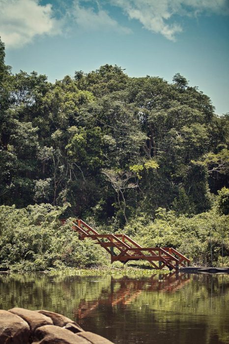 Brazil - Amazon - Luxury Safaris - Bellingham Safaris