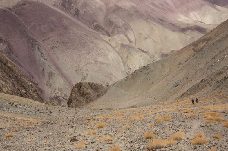 Snow Leopard Expedition 2016 Trip Report - Bellingham Safaris