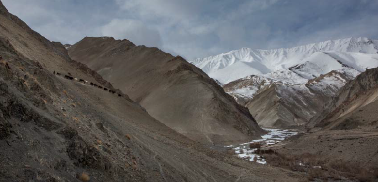 Snow Leopard Expedition 2016 Trip Report - Bellingham Safaris