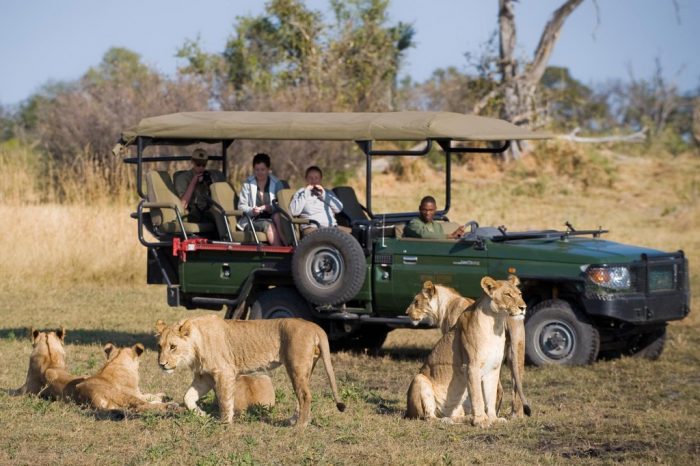 Botswana Linyanti Luxury Safaris Bellingham Safaris