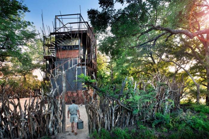 ngala-treehouse-exterior-guide-entrance