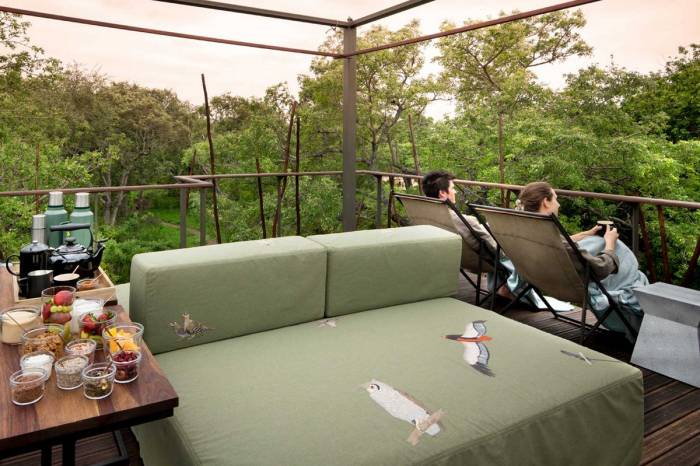 ngala-treehouse-rooftop-view