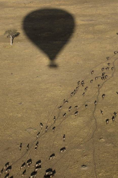 Sayari view from hot air balloon