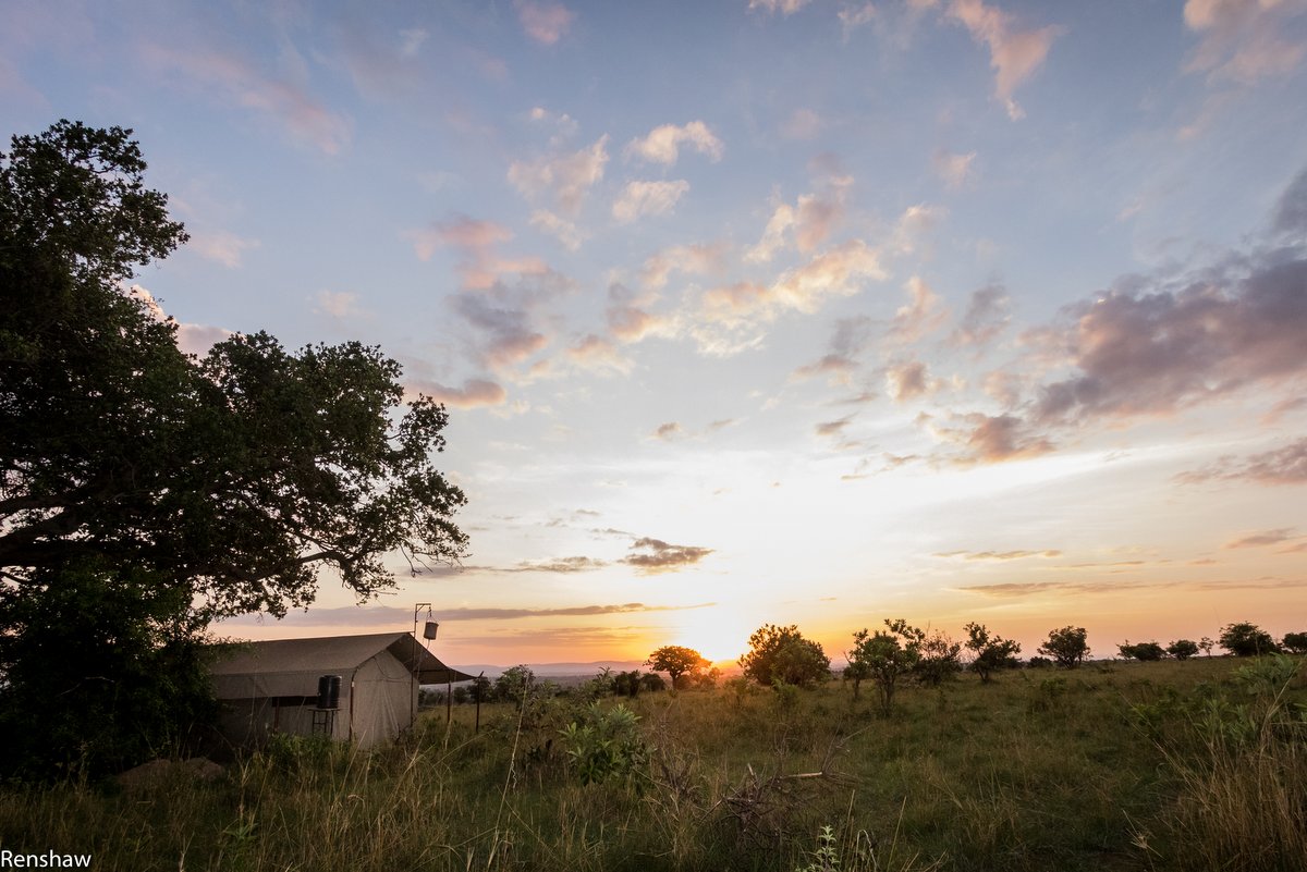 Legendary Serengeti Mobile Camp & Wildlife Gallery