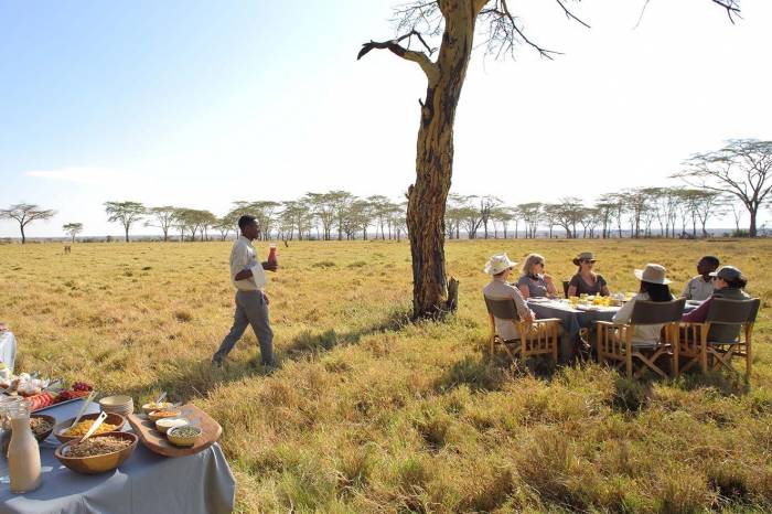 Namiri Plains - Breakfast Asilia Tanzania