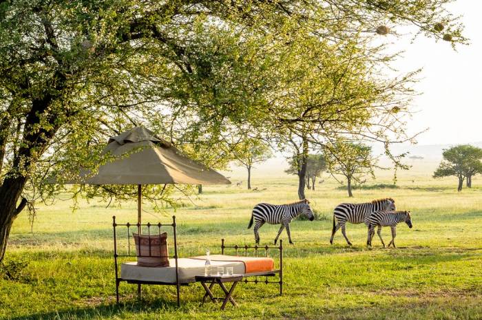 Singita Sabora Tented Camp Tanzania