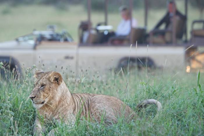 Singita Sabora - Game drive Tanzania