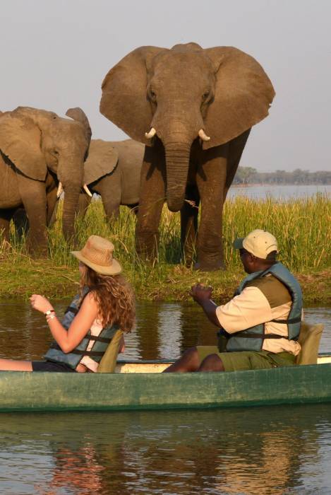 Sausage Tree camp - Canoeing - Zambia