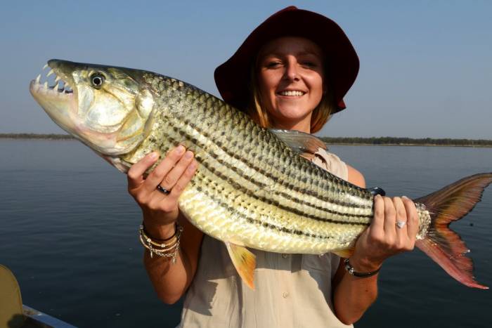 Sausage Tree camp - Fishing - Zambia