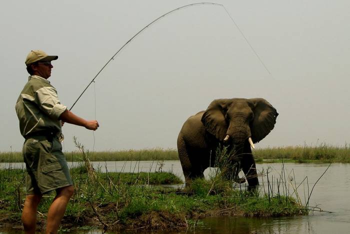 Sausage Tree camp - Fishing - Zambia