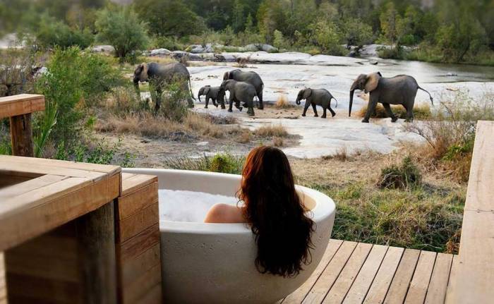 South Africa - Game viewing from Londolozi Private Granite Suites