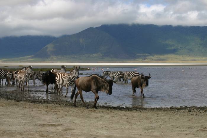 Kenya & Tanzania - Ngorongoro Crater