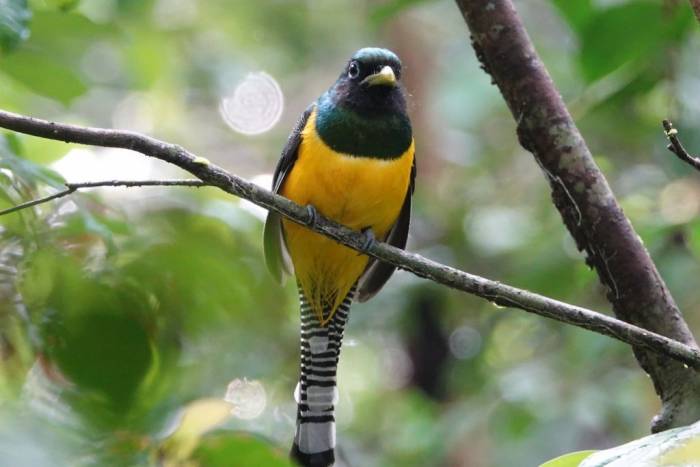Costa Rica