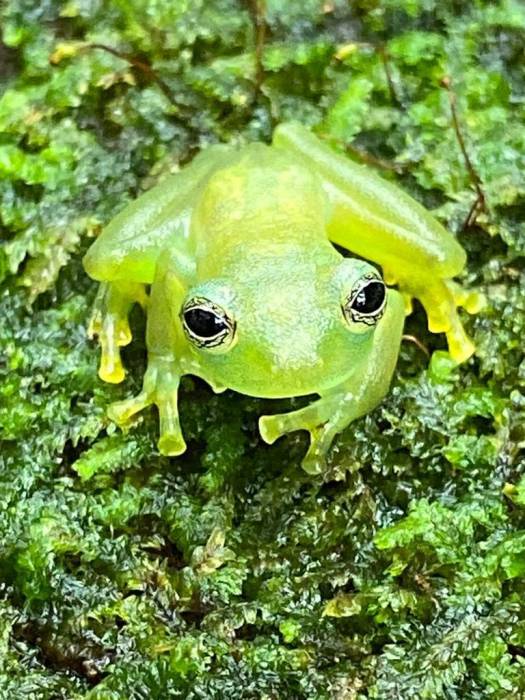 Costa Rica