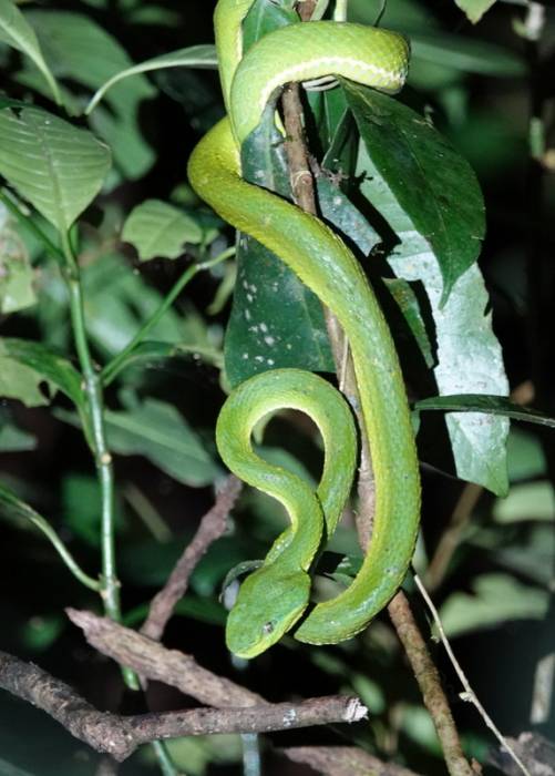 Costa Rica