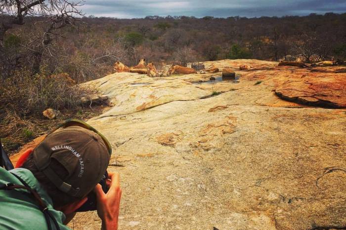 South Africa - Luxury Safari - Bellingham Safaris