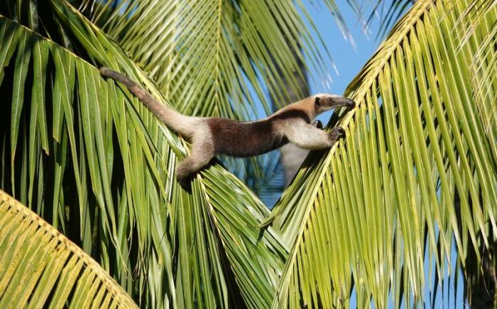 Costa Rica
