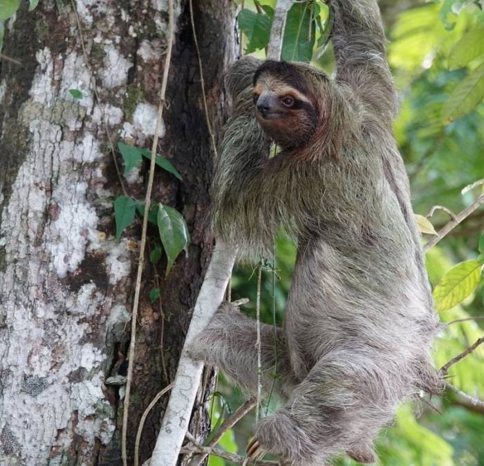Costa Rica