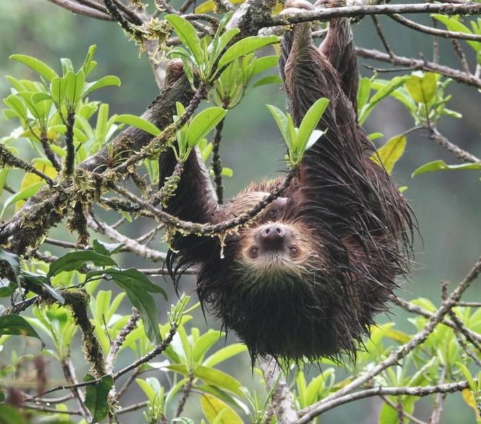 Costa Rica