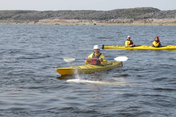 Nanuk Polar Bear Lodge - The Arctic
