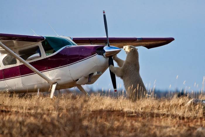 Nanuk Polar Bear Lodge - The Arctic