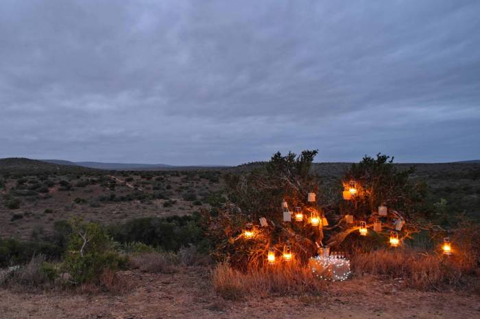 South Africa - Kwandwe Ecca Lodge - Luxury Safari - Bellingham Safaris