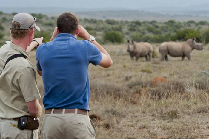 South Africa - Kwandwe Ecca Lodge - Luxury Safari - Bellingham Safaris