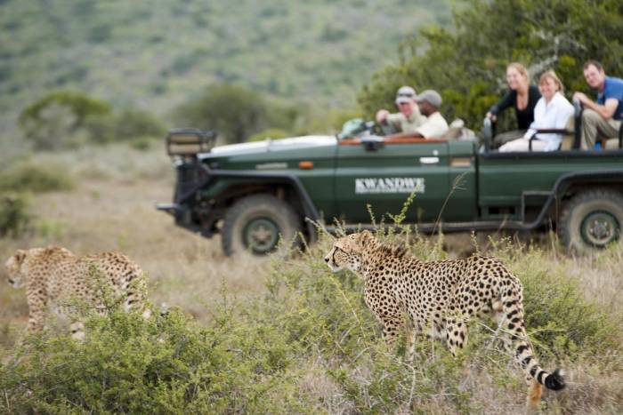 South Africa - Kwandwe Ecca Lodge - Luxury Safari - Bellingham Safaris