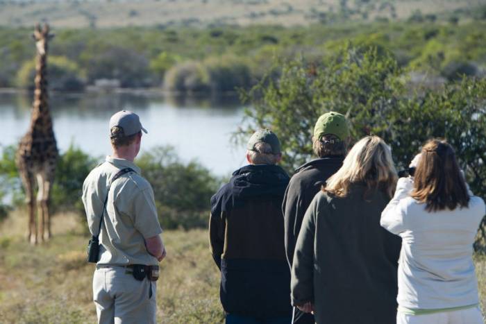 South Africa - Kwandwe Ecca Lodge - Luxury Safari - Bellingham Safaris