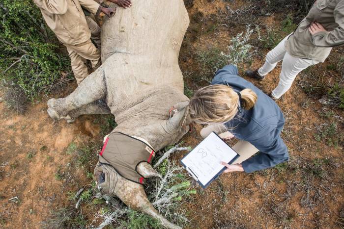 South Africa - Kwandwe Ecca Lodge - Luxury Safari - Bellingham Safaris
