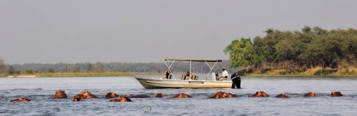Zambia - Lower Zambezi - Bellingham Safaris