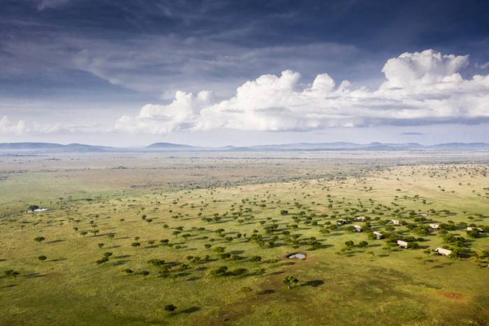 Tanzania - Serengeti - Bellingham Safaris