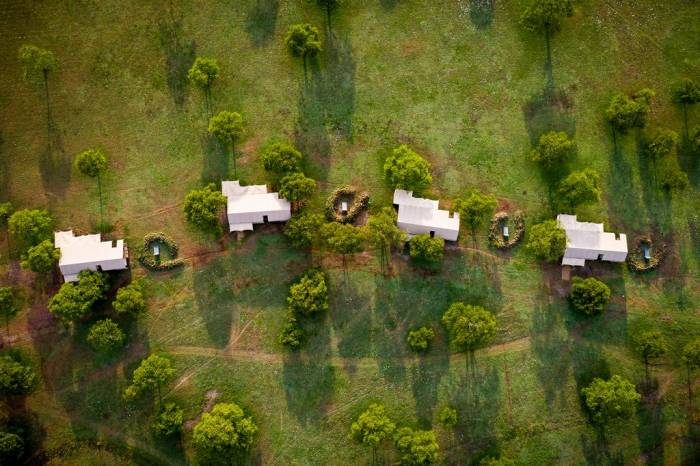 Tanzania - Serengeti - Bellingham Safaris
