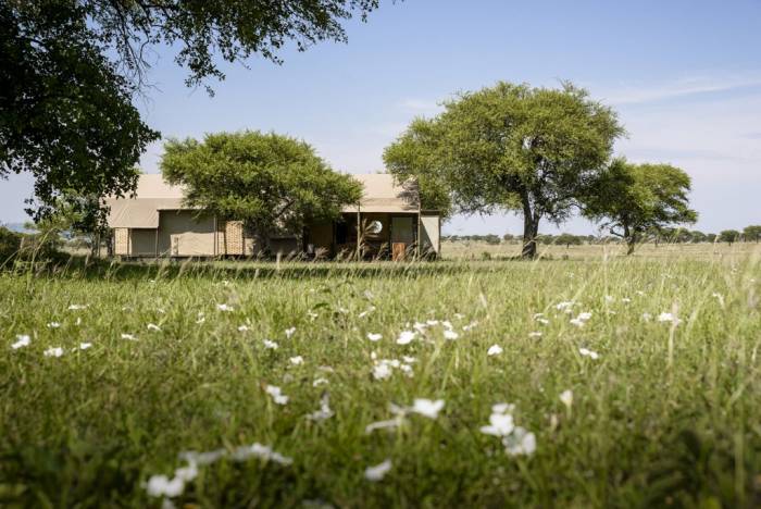 Tanzania - Serengeti - Bellingham Safaris
