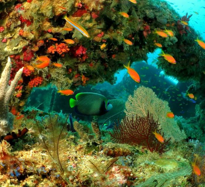 Maldives gallery