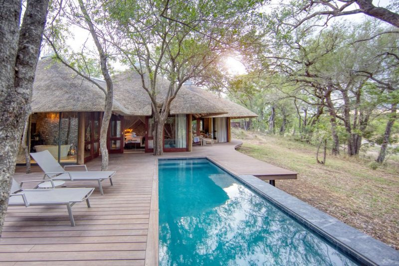 South Africa - Sabi Sands - Bellingham Safaris - Luxury Safari