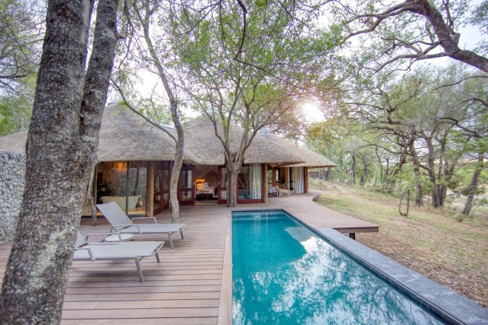 Leadwood Lodge Suite plunge pool in Sabi Sand in South Africa