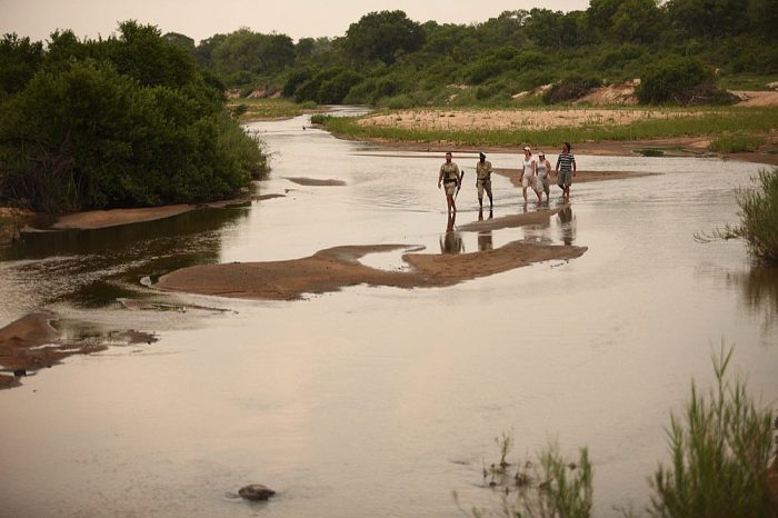 Walk in the bush in Sabi Sand in South Africa