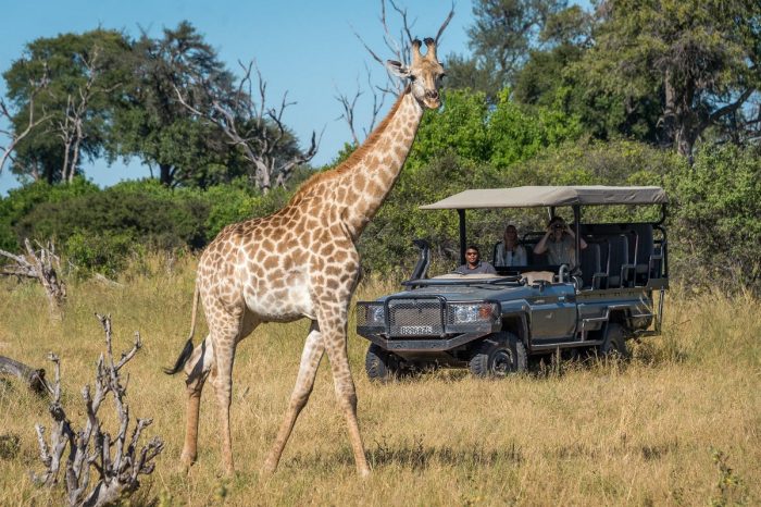 Botswana - Linyanti - Luxury Wildlife Safaris