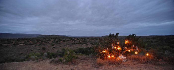 Sundownder at Kwandwe in South Africa