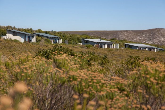 Grootbos Forest Lodge - Lux Suite - in South Africa
